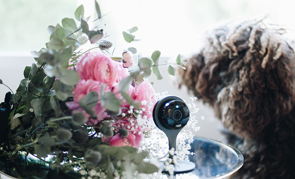 tu_casa_protegida_con_nest_cam_3