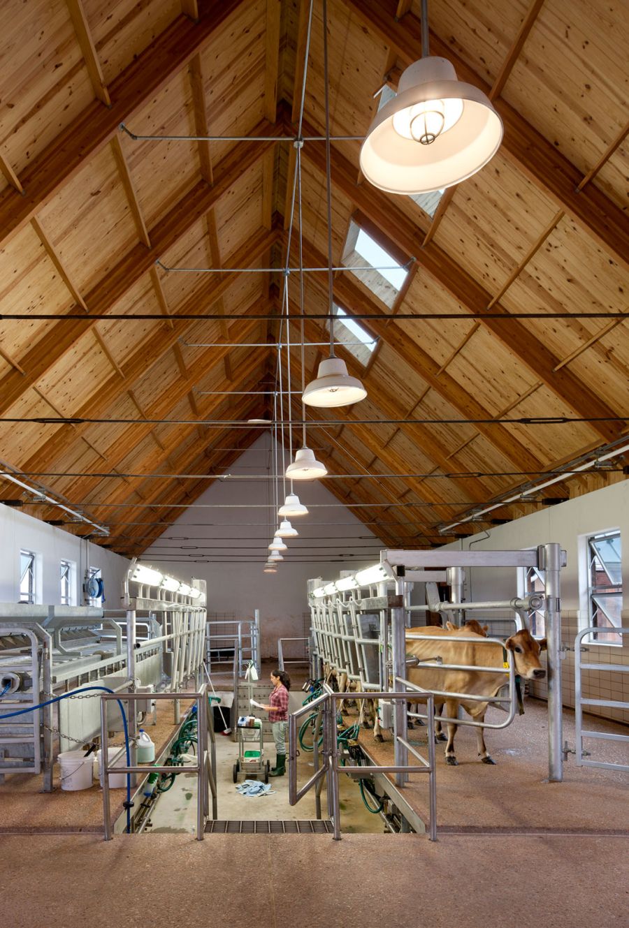 la_granja_mas_bonita_9